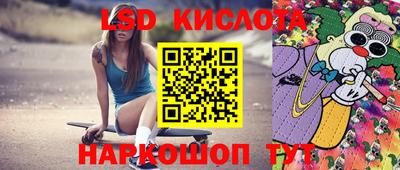 индика Лесосибирск