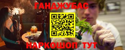 индика Лесосибирск