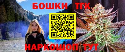 индика Лесосибирск