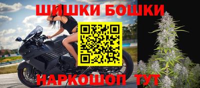 индика Лесосибирск