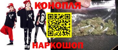 сатива Вязьма