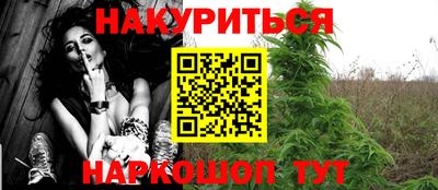 индика Лесосибирск