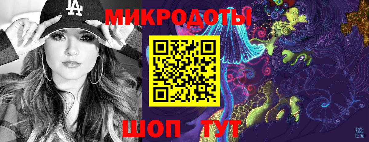 Галлюциногенные грибы Psilocybine cubensis Казань